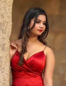 call girl service in Pardesi Pura